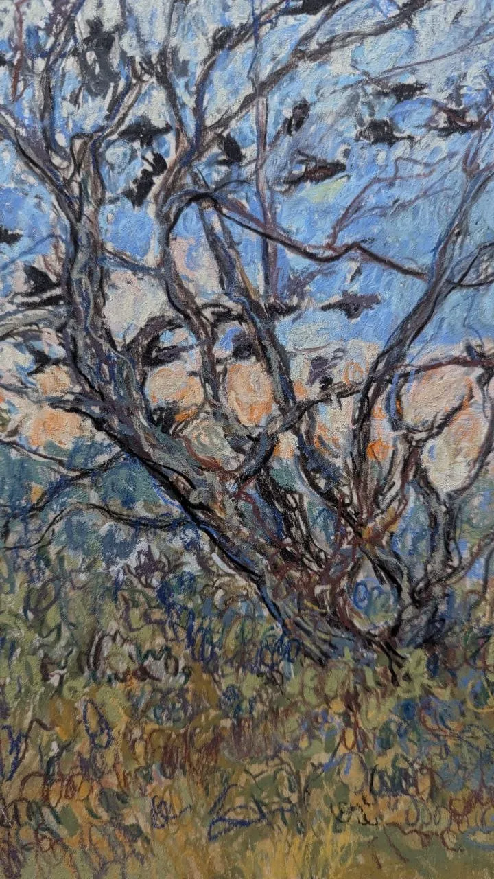 Aves