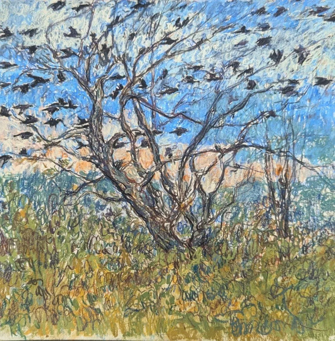 Aves